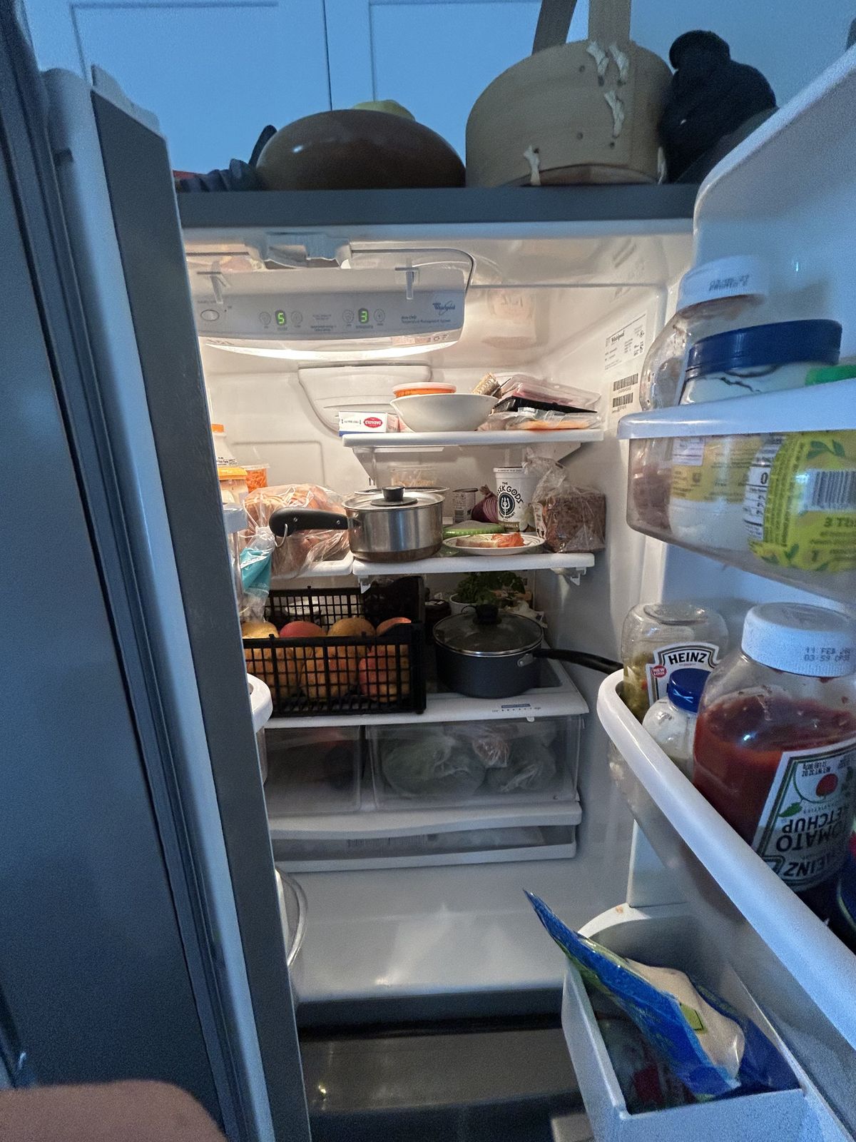 Open refrigerator interior during a diagnosis visit